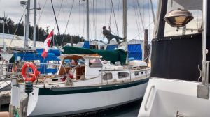 Mast and rigging inspection at Canoe Cove Marina. Vancouver Photo Ray Penson
