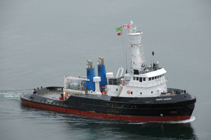 Pacific Hickory Tug