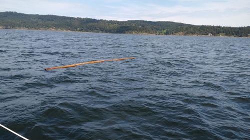 ‘There are lots of logs floating around, not always easy to spot’ Photo Ray Penson