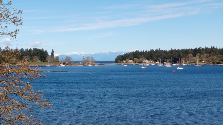 Life at sea, Calm and Tranquil