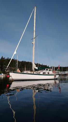 Truce on a swing Mooring at Canoe Cove’ Photo Ray penson