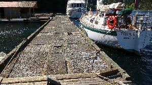 Almost finished cleaning the jetty