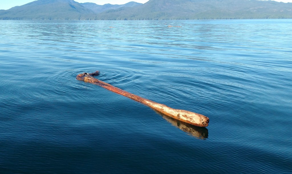 Floating log with friends in Fitz Hugh Sound. Photo ray Penson