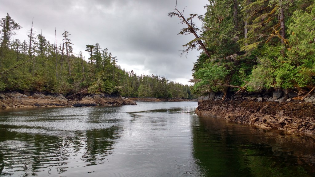 Philip Narrows on Princess Royal Island - very narrow
