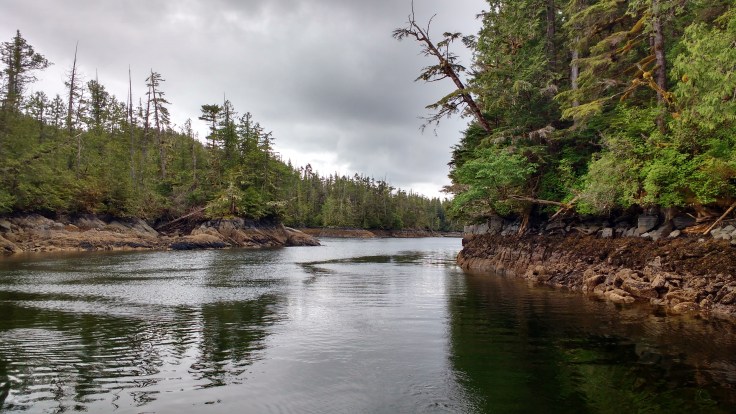 Philip Narrows on Princess Royal Island - very narrow