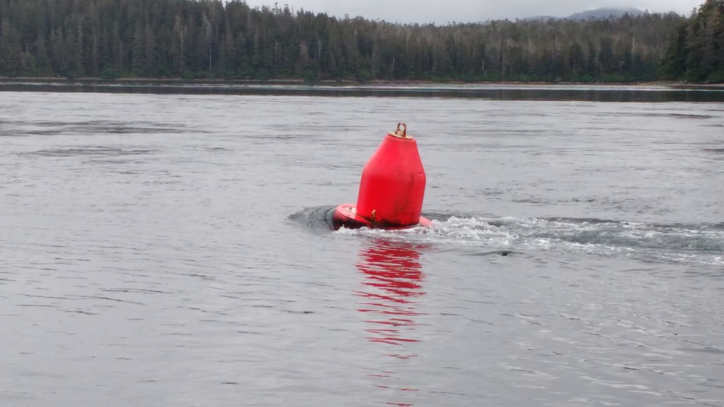Current in Sergius Narrows. Photo Ray Penson