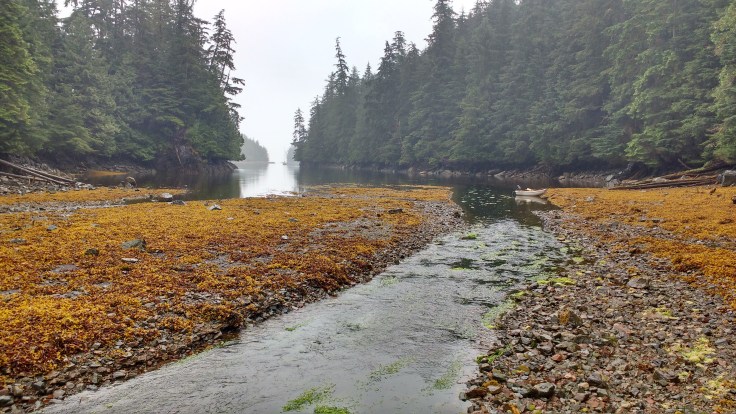 Exploring in the rain. Photo Ray Penson