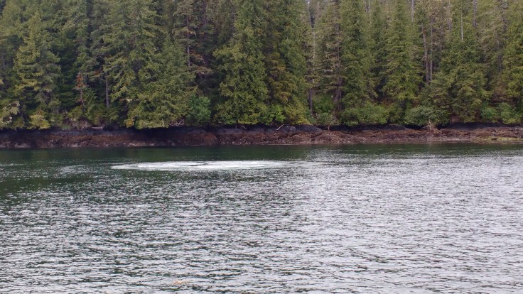 Whaler Bubble Curtain. Photo Ray Penson