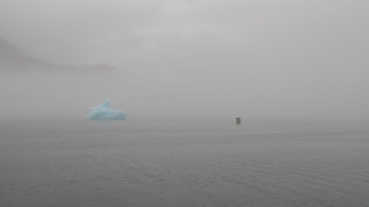 Fog Clears to Reveal Port Hand Buoy. Photo Ray Penson