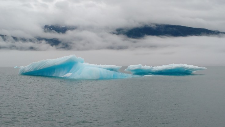 Ice at entrance to Tracy Arm Anchorage Photo Ray Penson