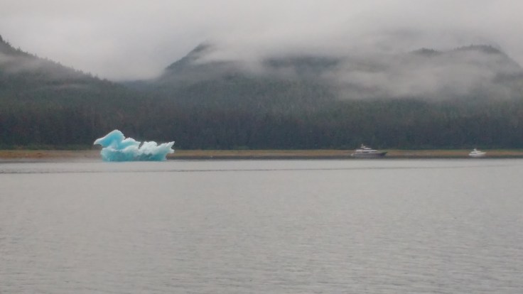 Large Ice Duck protecting Tracy Arm Anchorage. Photo Ray Penson