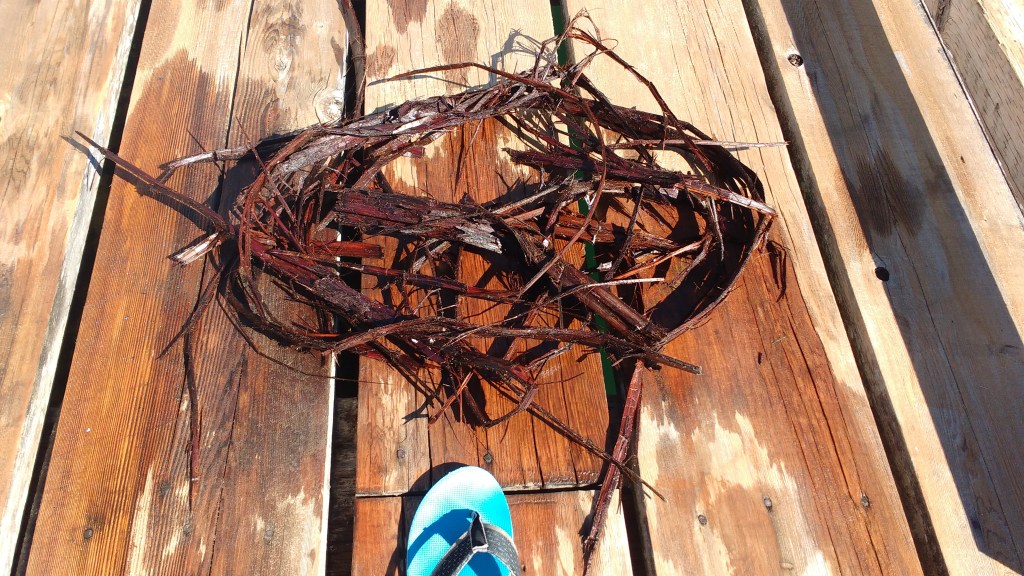 Strips of Cedar bark from the propeller. Ray Penson