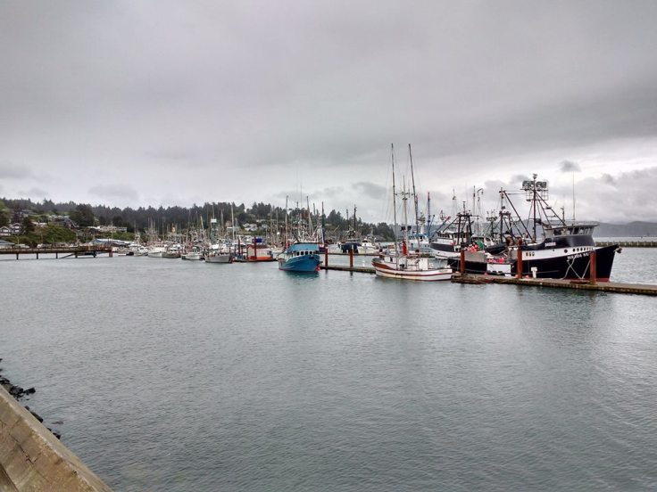 Fishing boat harbour Newport Oregon. Photo Ray Penson