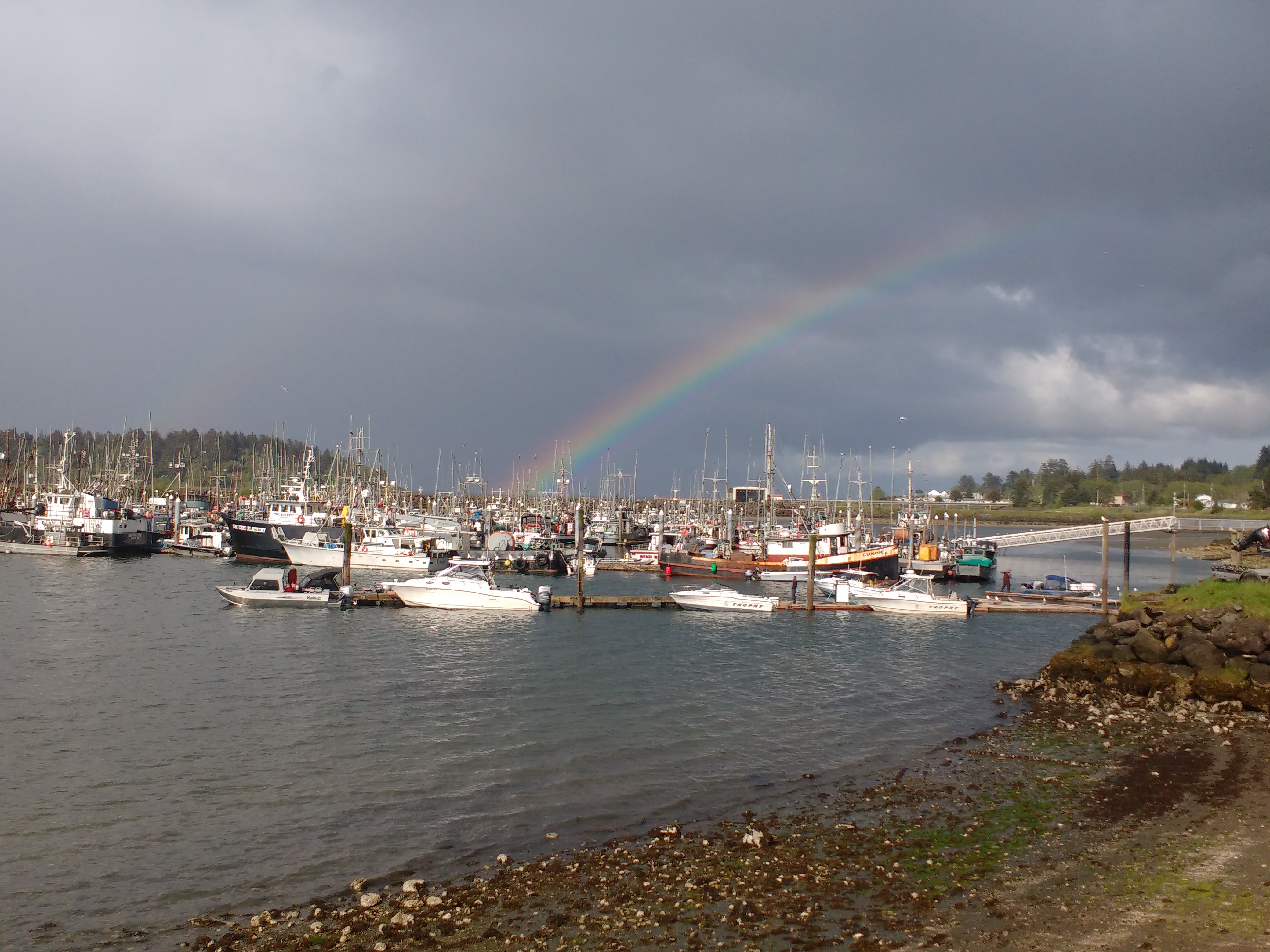 Rainbow over Neah Bay Marina. Photo Ray Penson