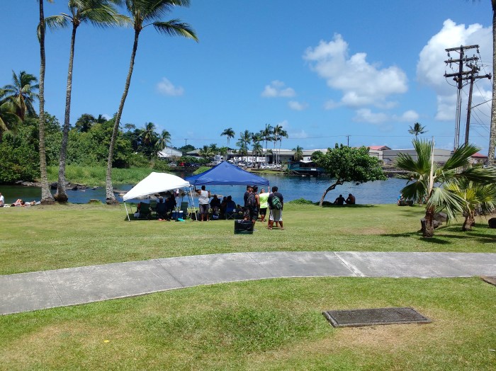 Hanging out in Reeds Bay, Hilo Photo Ray Penson