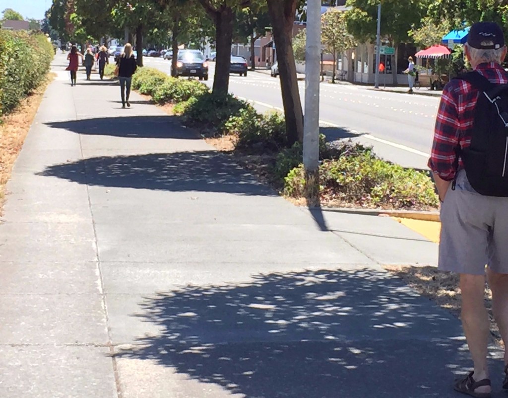 Sausalito Sunday, San Francisco