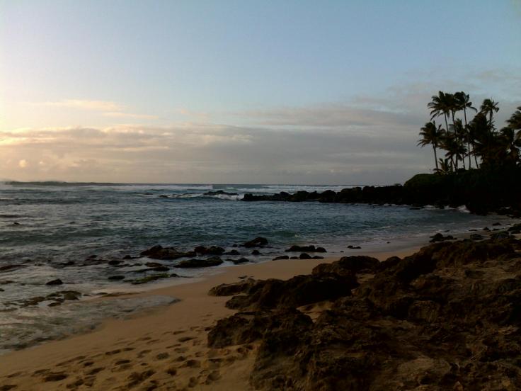In the Tropics, Hilo, Hawaii. Photo Ray Penson