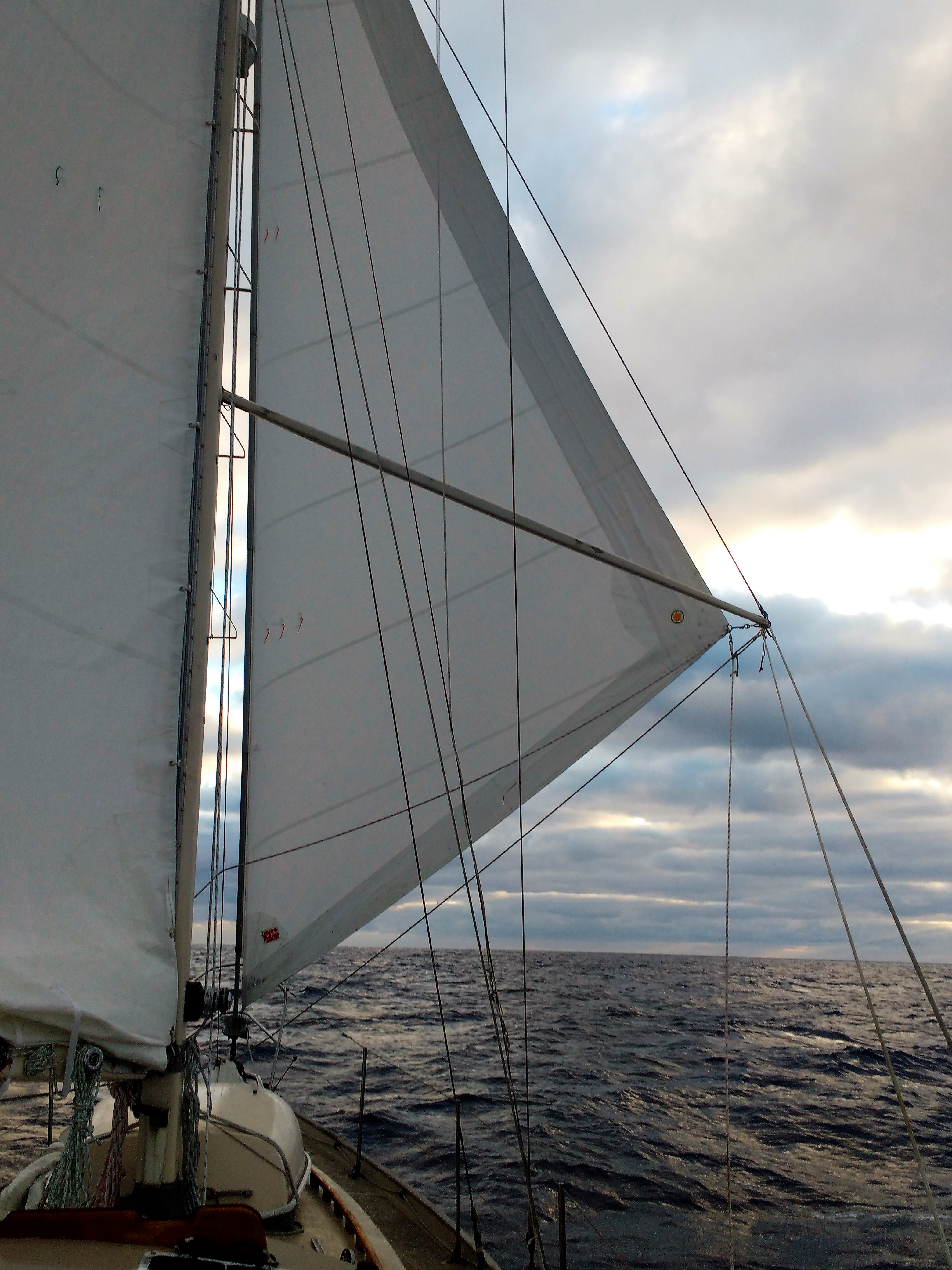 Poled out Jib - worth the effort. Photo, Ray Penson