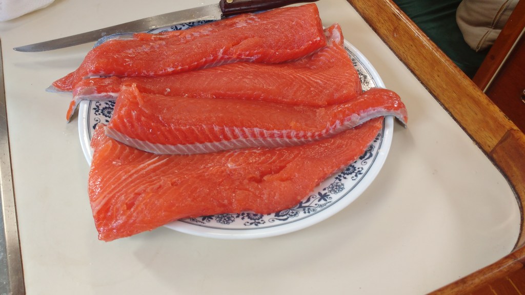 Fresh Salmon. Photo Ray Penson. Sailing Yacht Truce