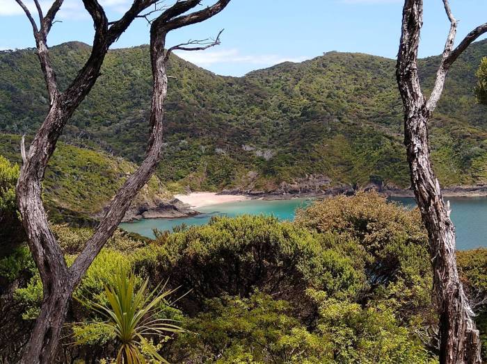 te-toroa-bay-beach.-photo-ray-penson