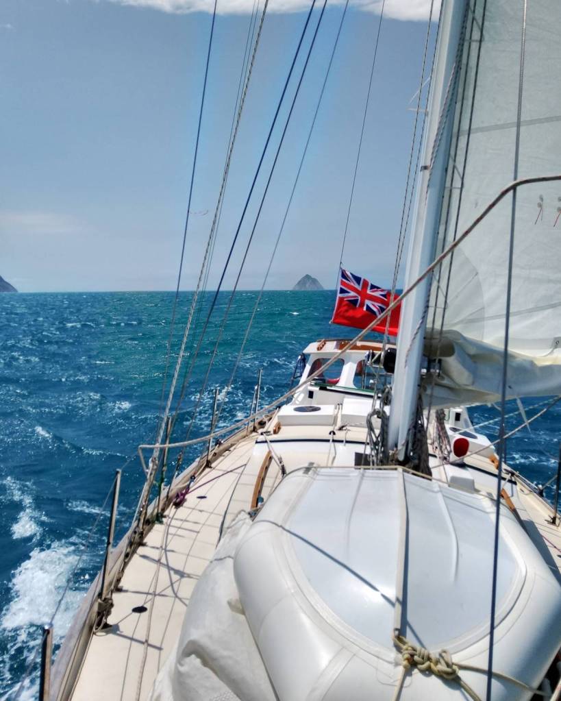 East Cape Astern Photo Ray Penson