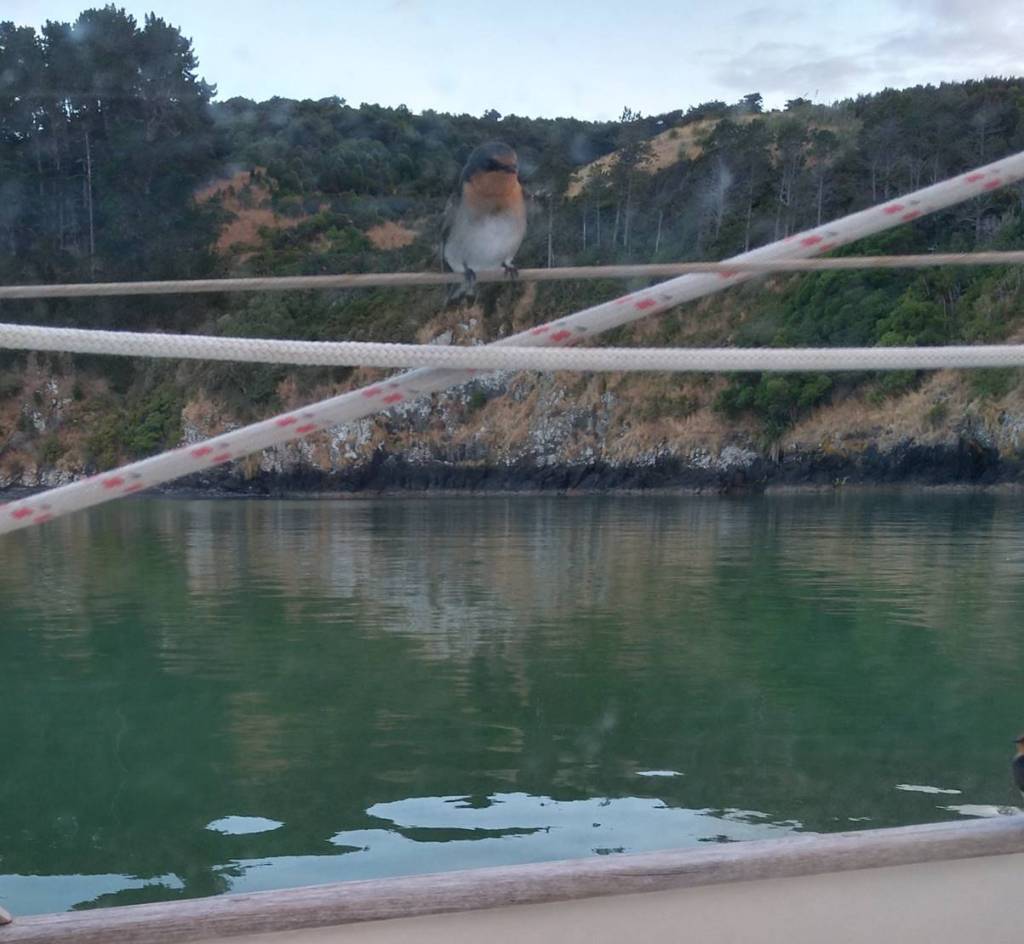 Early Morning Alarm Clock Photo Ray Penson