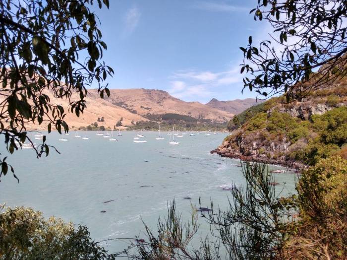 Parau Bay from the Coastal Track Photo Ray Penson