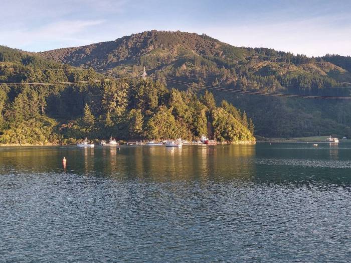 Sunrise in Oyster Bay Photo Ray Penson