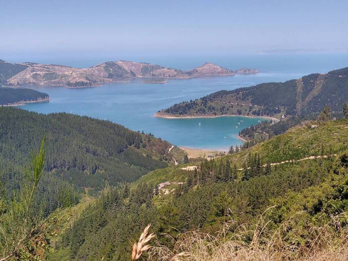 Truce at Anchor in Oyster Bay Photo Ray Penson