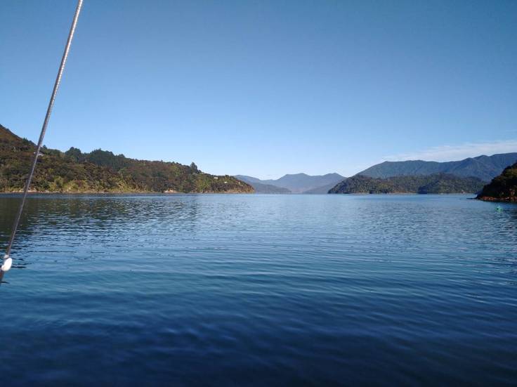 Early morning scene, Kenepuru Sound. Photo Ray Penson