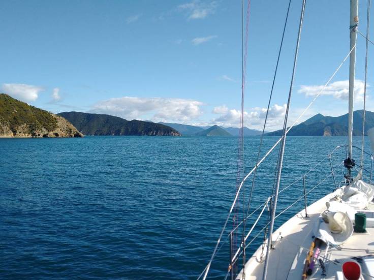 Heading South down Pelorus Sound Photo Ray Penson