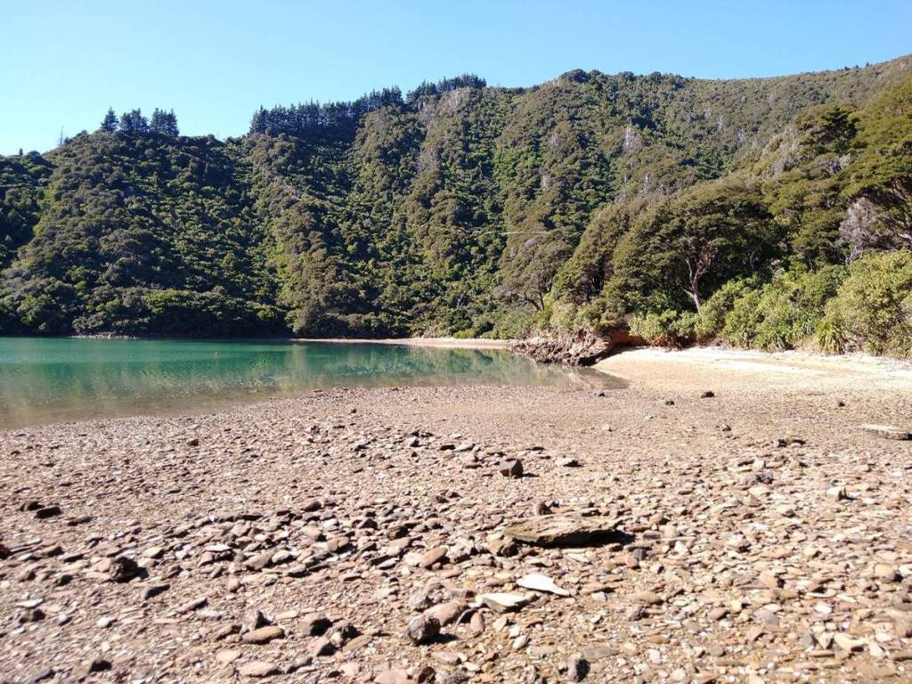 Picnic Bay, rocky beach. Photo Ray Penson