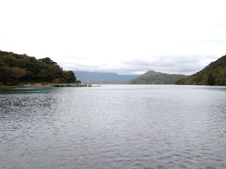 Torea Bay on Queen Charlotte Sound. Photo Ray Penson