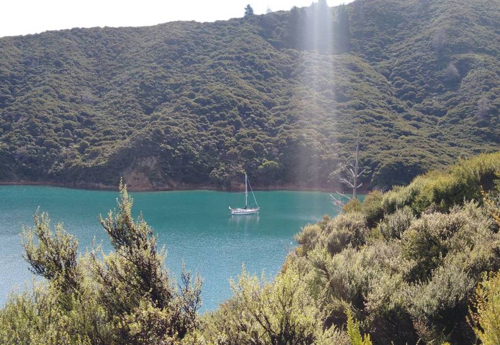 Truce in Richmond Bay Photo Ray Penson