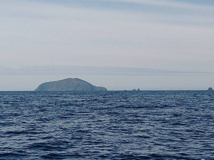 Stevens Island. Photo Ray Penson