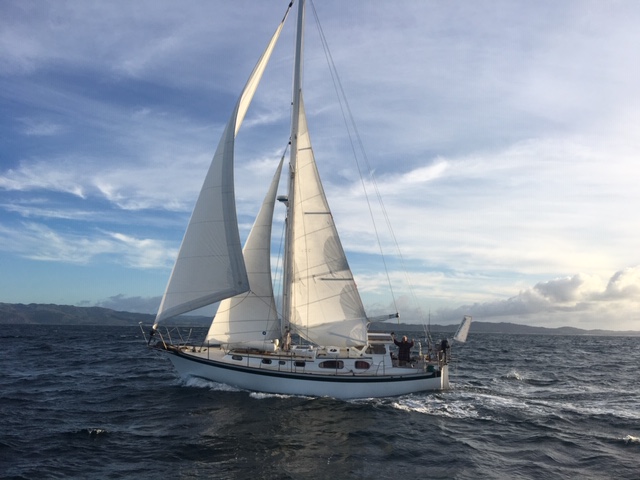 Truce Sailing, off Cape Rodney