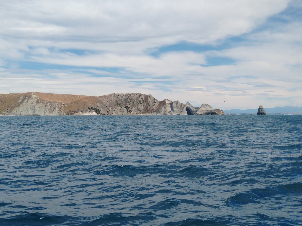 Cape Kidnappers. Photo Ray Penson