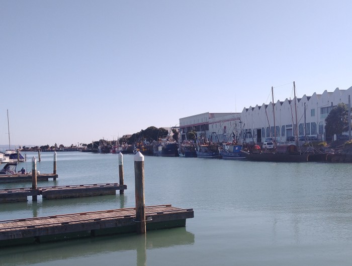 Fishing Fleet Napier. Photo Ray Penson