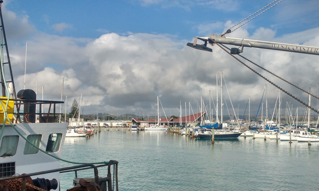 Truce at Napier Sailing Club Visitor Berth. Photo Ray Penson