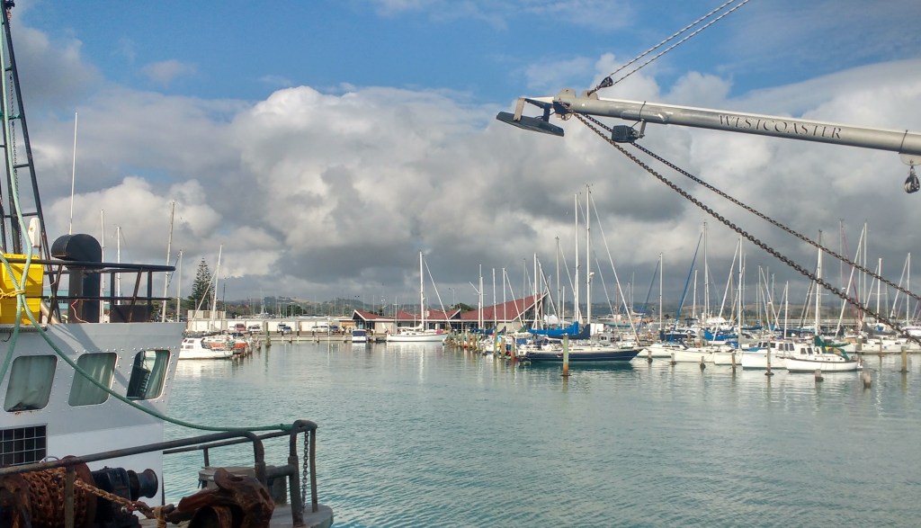 Truce at Napier Yacht Club visitors berth.