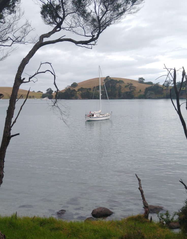 Truce at Ranger Bay, Te Kouma Harbour. Photo Ray Penson