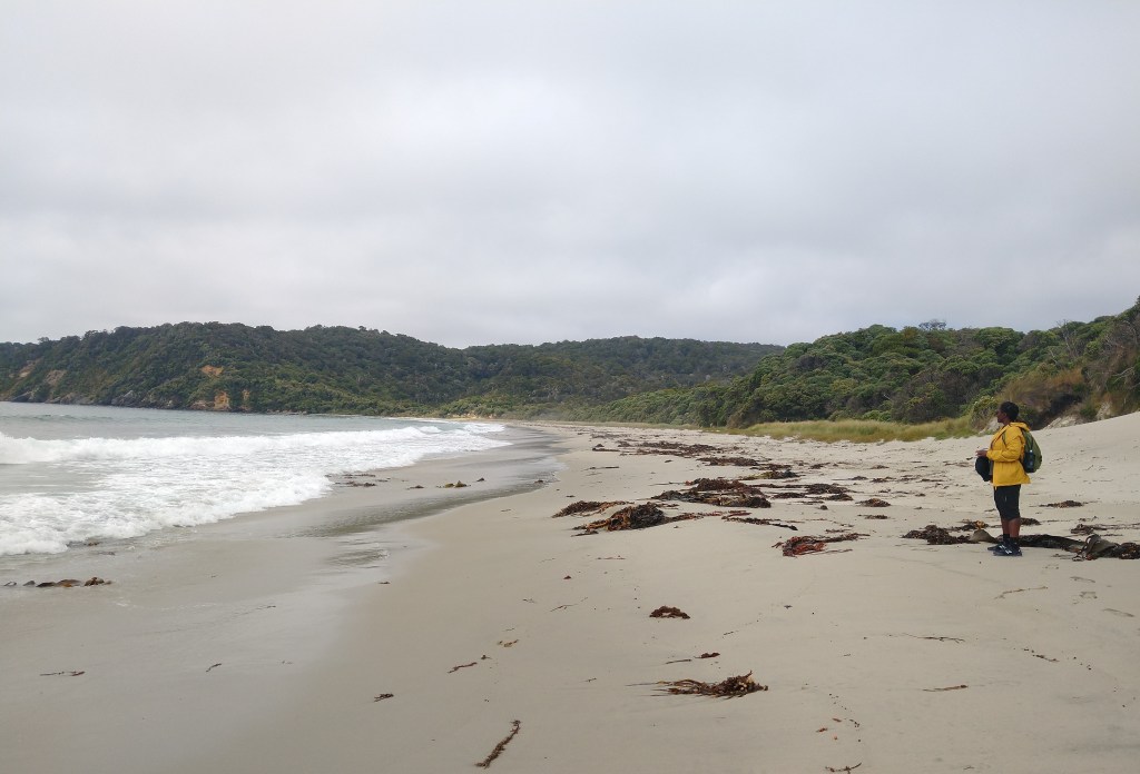 Ocean Beach. Photo Ray Penson