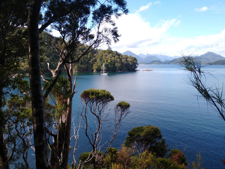 Pickersgill Harbour from Astronomers Point. Photo Ray Penson
