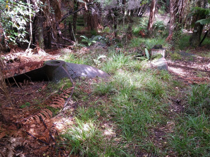 Propellers in the bush. Photo Ray Penson