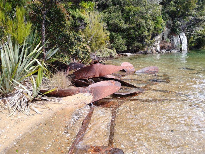Propellers on the beach. Photo Ray Penson