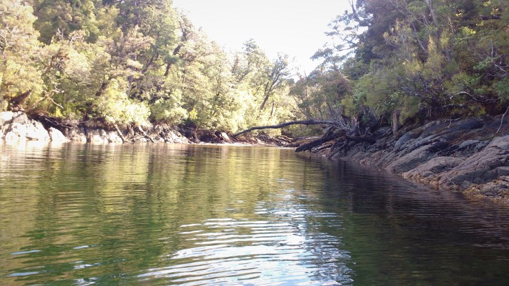 Stream at the head of Cooks Cove. Photo Ngozi penson