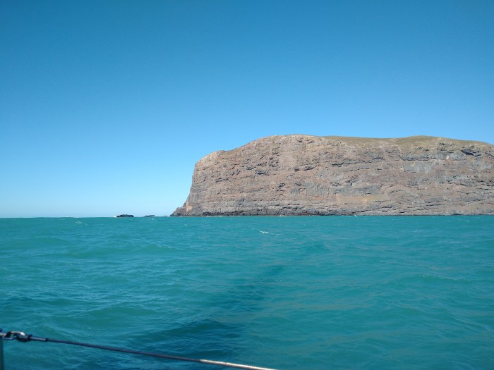 Timutimu Head Akaroa. Photo Ray Penson