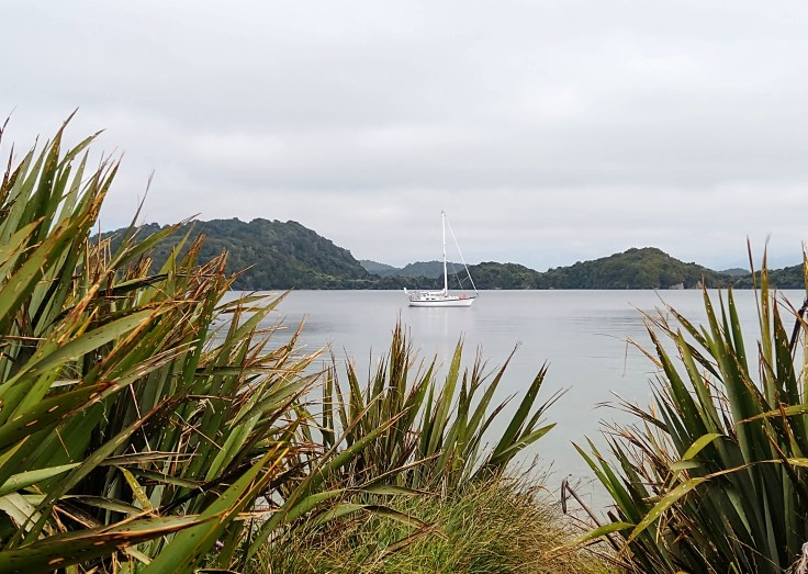 Truce anchored at Glory Cove, Paterson Inlet. Photo Ray Penson