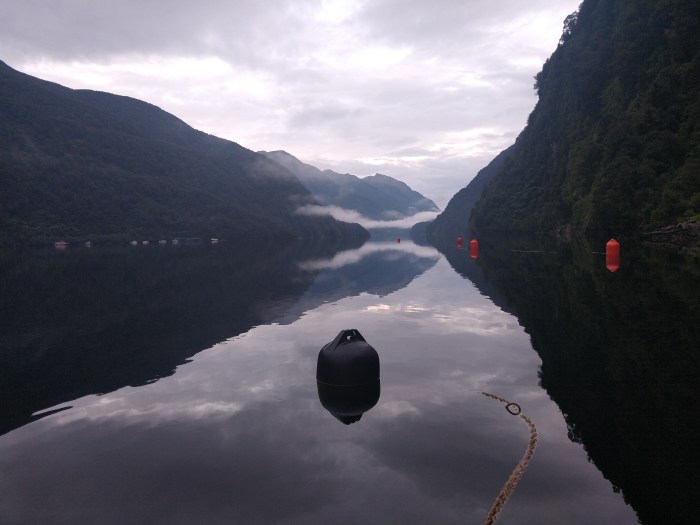Sunrise at Deep Cove. Photo Ray Penson