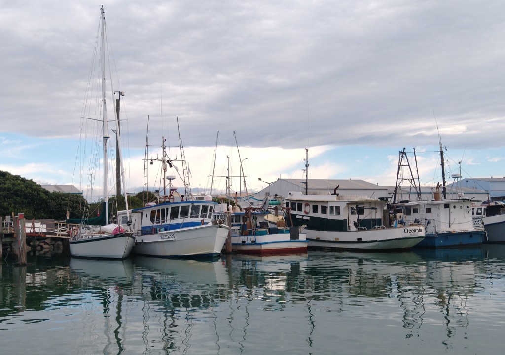 A Rose amongst Thorns, Truce moored in Fishing Pens. Photo Ray Penson